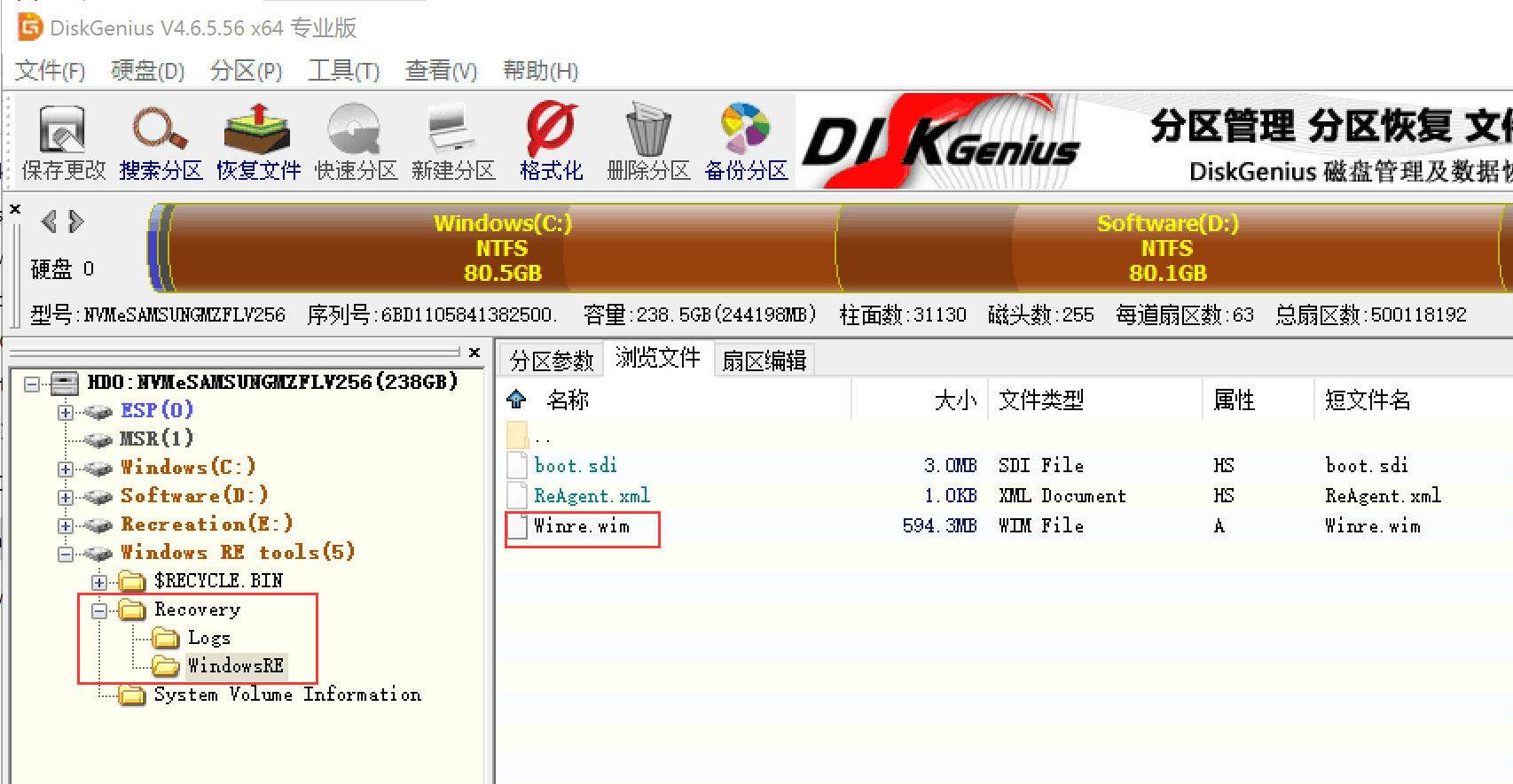 DiskGenius_Windows_RE_tools